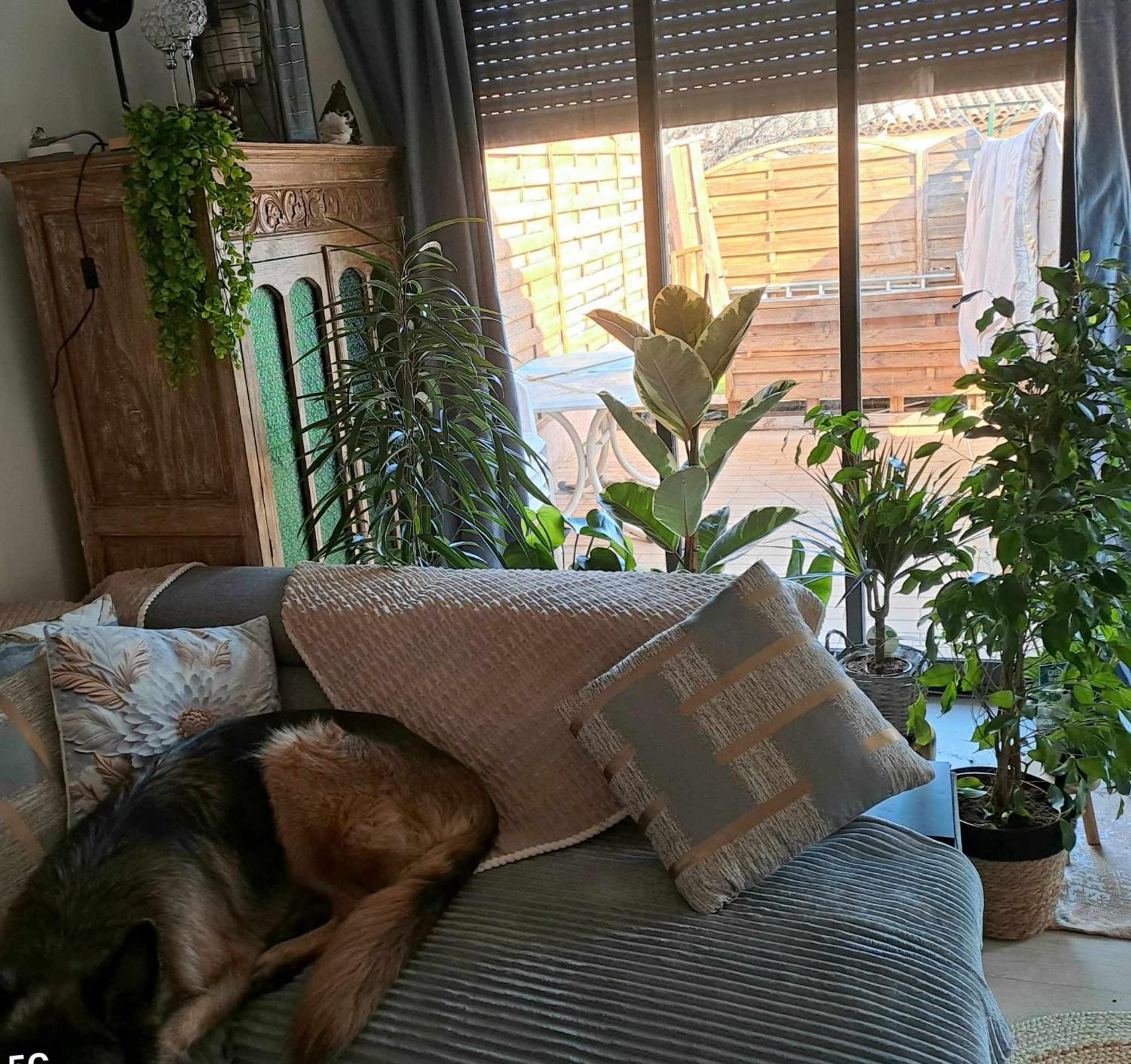 Séjour chez l'habitant Terrasse